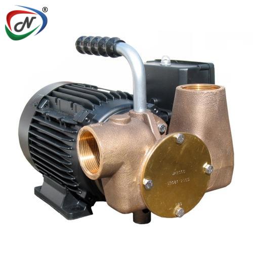 FLOJET / XYLEM PUMPS 53081-2003-230 Utility 80' 1½ NSSP004086