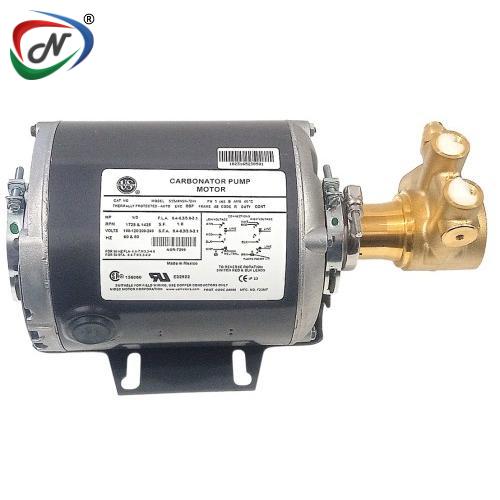 Nespl Pump Motor Set NSSP004026